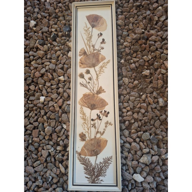 Billede lavet i t�rrede blomster