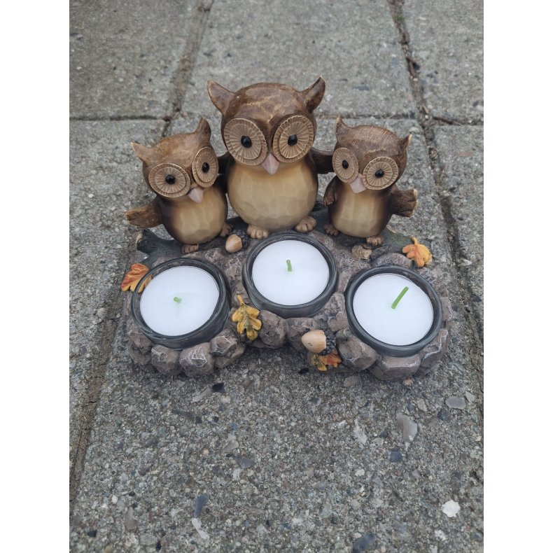 Woodland Owls